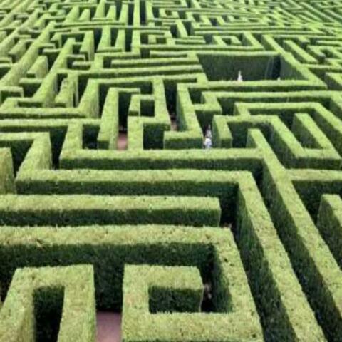 Maze