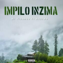 Impilo Inzima (feat. Avuzwa)