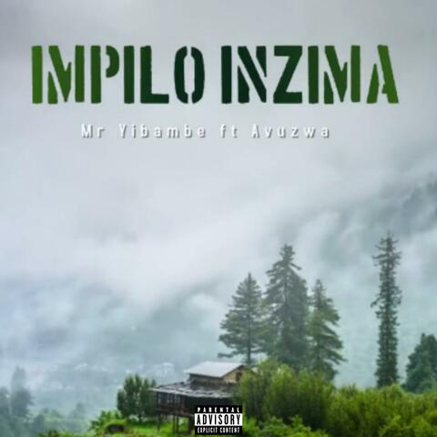 Impilo Inzima (feat. Avuzwa)