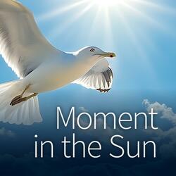 Moment In The Sun