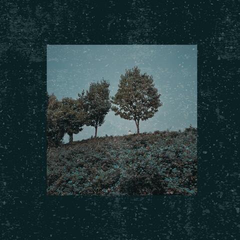 Moonlit Daydreams