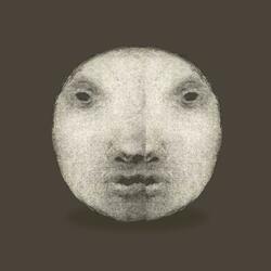 The Progress Through Life In A State Of Imperfect Certainty