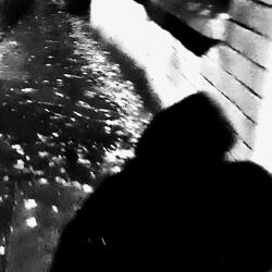 A Shout From The Shadows