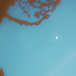 SmokingWithTheMoon