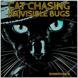 Cat chasing (in)visible bugs