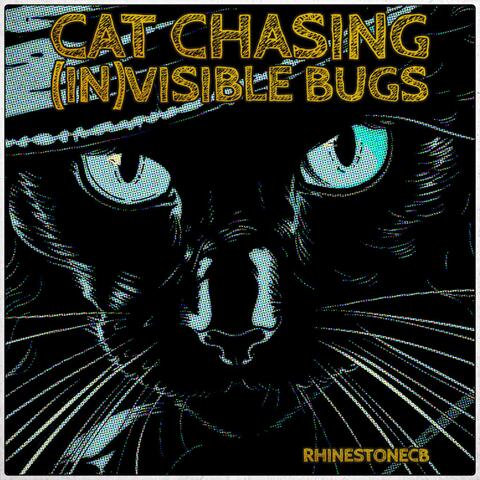 Cat chasing (in)visible bugs