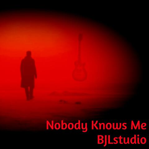 Nobody Knows Me