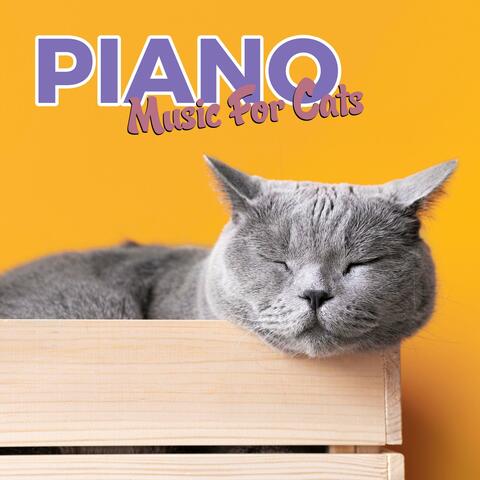 Piano for Relaxed Cats