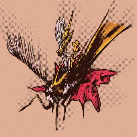 U.F.D. (Urban Fancy Dancing)