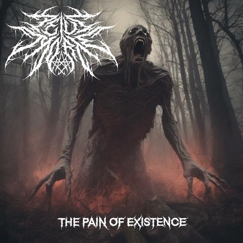 The Pain of Existence