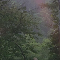 Poor boy and high hopes