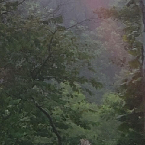 Poor boy and high hopes