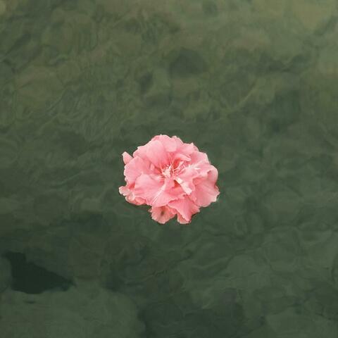 Nothing To Do But Dream (Fall)