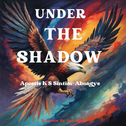 Under The Shadow