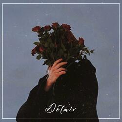 Dotmir