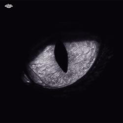 OJOS DE PANTERA
