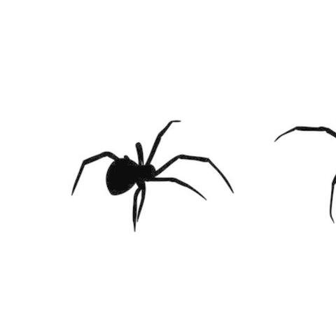 Original spider (feat. Grimlake!)