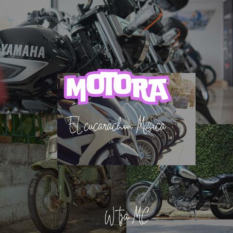 Motora