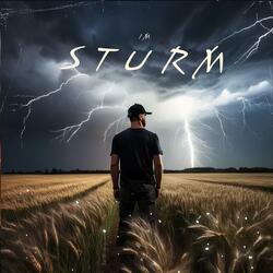 Im Sturm