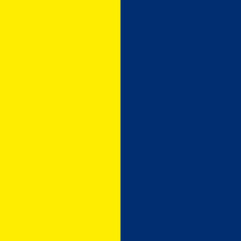 Fenerbahçe Tribünü
