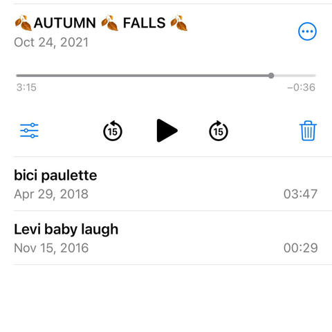 Autumn Falls