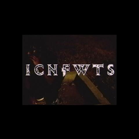 ICNFWTS
