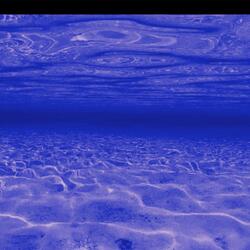 all i know (GO) (feat. VINTON)