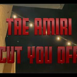 Voices In My Head (feat. Tae Amiri)