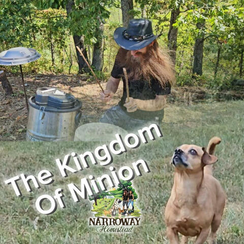 The Kingdom of Minion