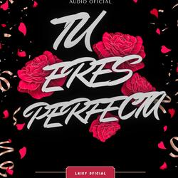 Tu Eres Perfecta