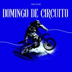 Domingo de Circuito (feat. Varios Artistas)