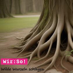 Wilde Wurzeln schlagen