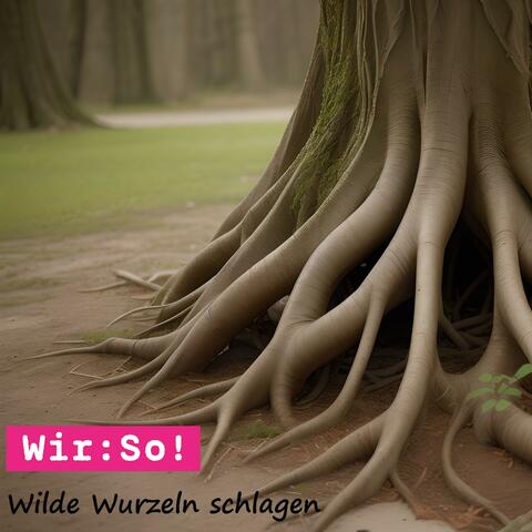 Wilde Wurzeln schlagen