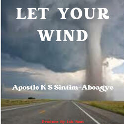 Let Your Wind (Remax)