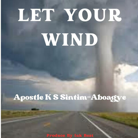 Let Your Wind (Remax)