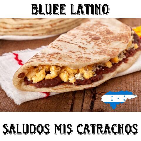 saludos mis catrachos