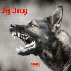 Big Dawg (feat. Rookie)
