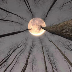 Candlelight into Darkness