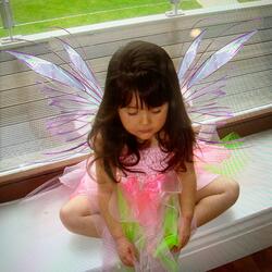 Wings