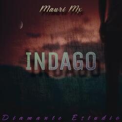 Indago
