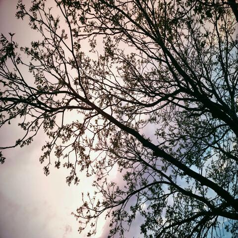 Memory of Time