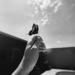 Wish
