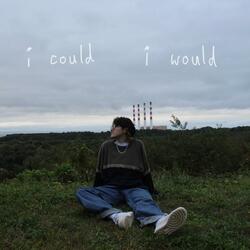 i could i would