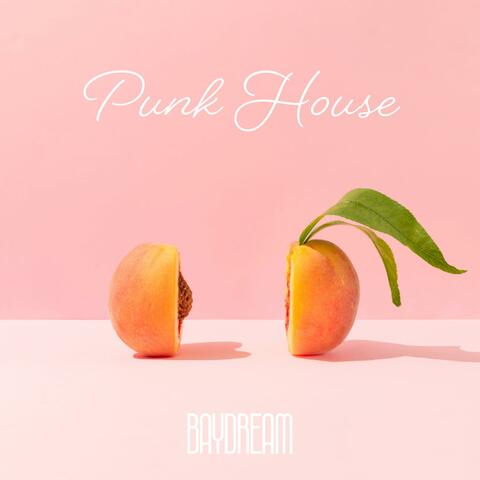 Punk House
