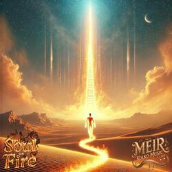 Soul On Fire