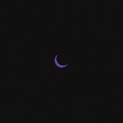 Moon Rises
