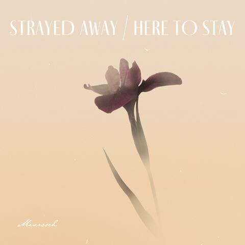 Strayed Away, Here To Stay