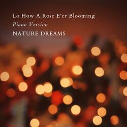Lo How A Rose E'er Blooming