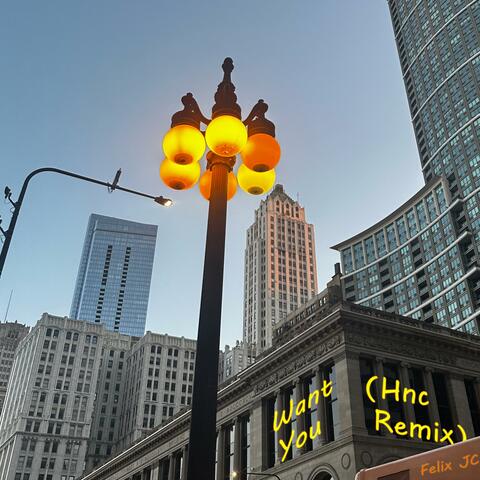 Want You (Hnc Remix)