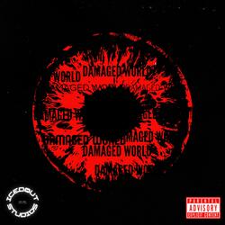 DAMAGED WORLD